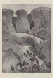 A guerra do Transvaal